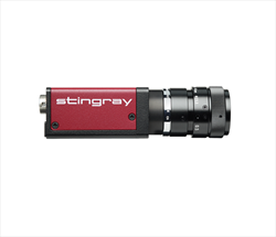 High-quality VGA camera Stingray F-033B/F-033C  Allied Vision Technologies